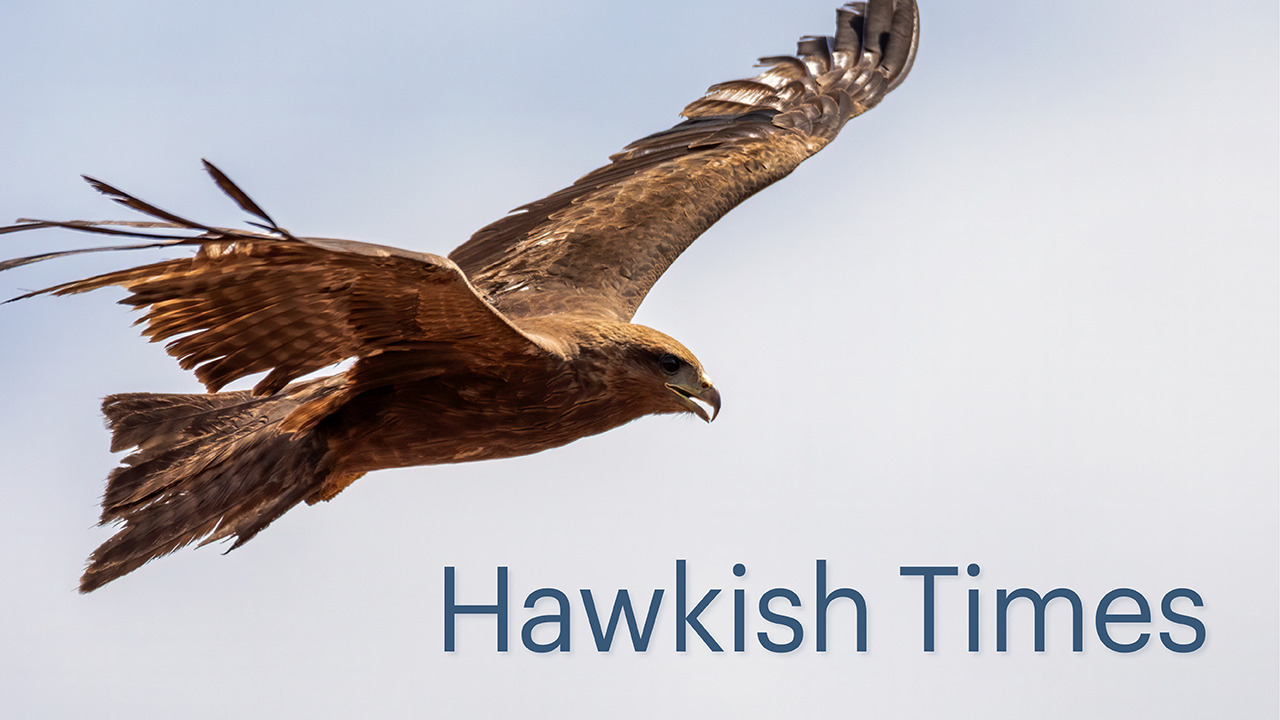 Hawkish Times