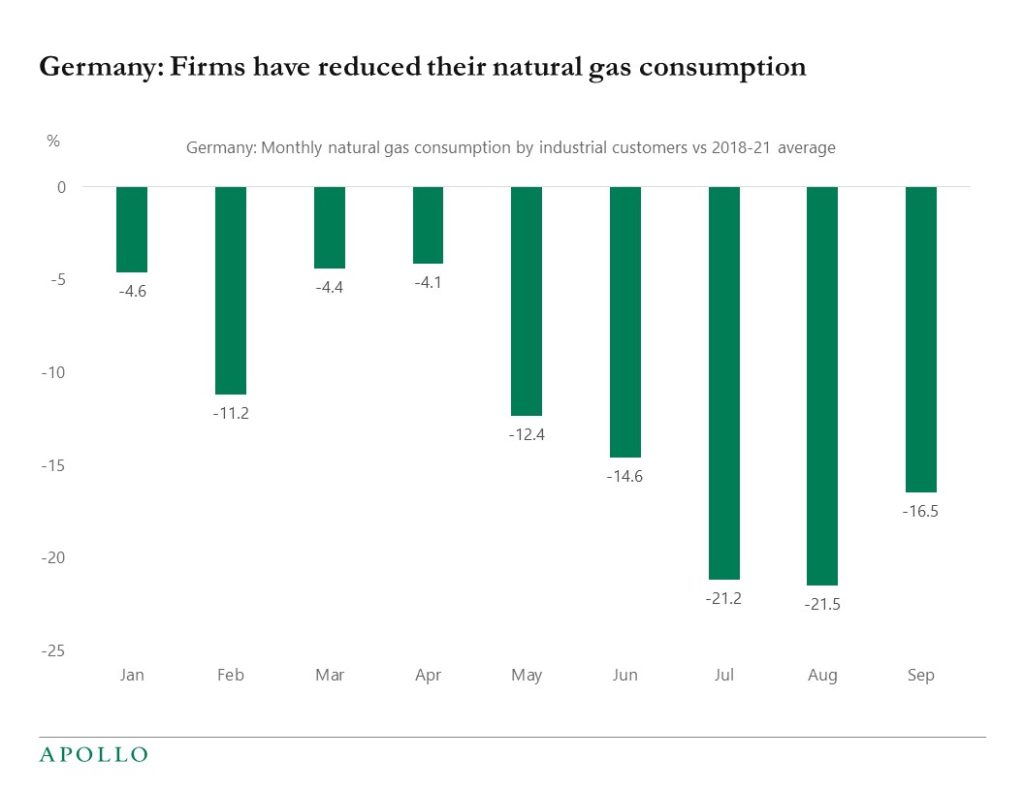 Germany: Firms have reduced their natural gas consumption