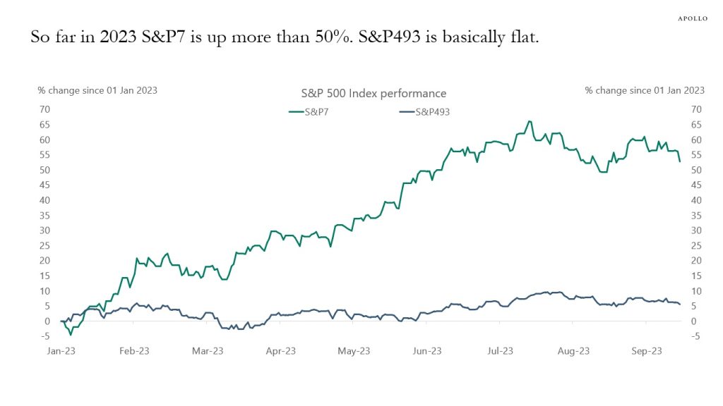 s&p 493 index