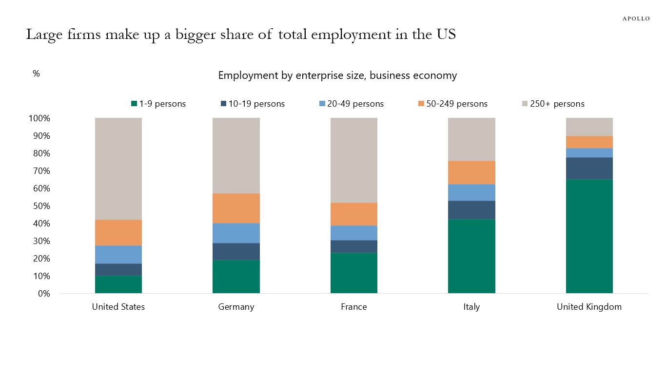 Large firms make up a bigger share of total employment in the US