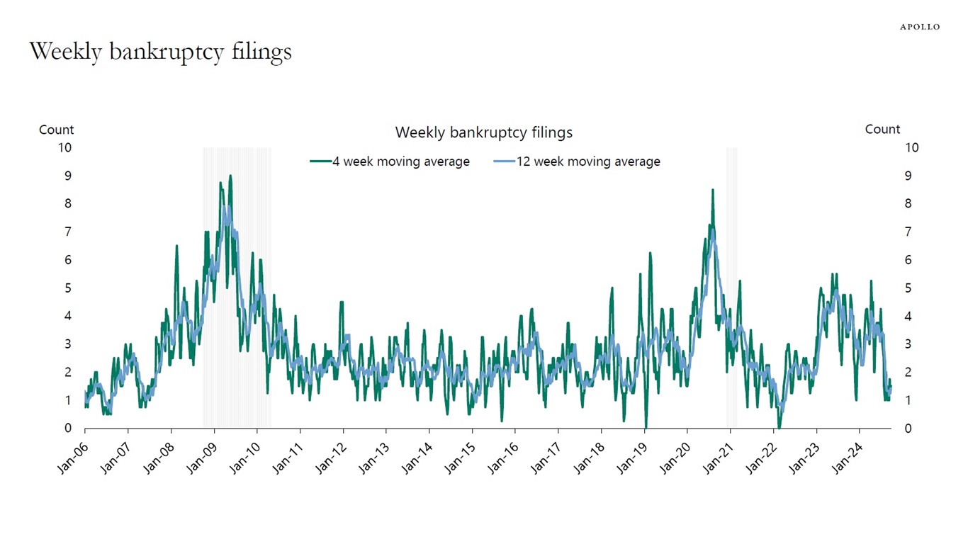 Weekly bankruptcy filings