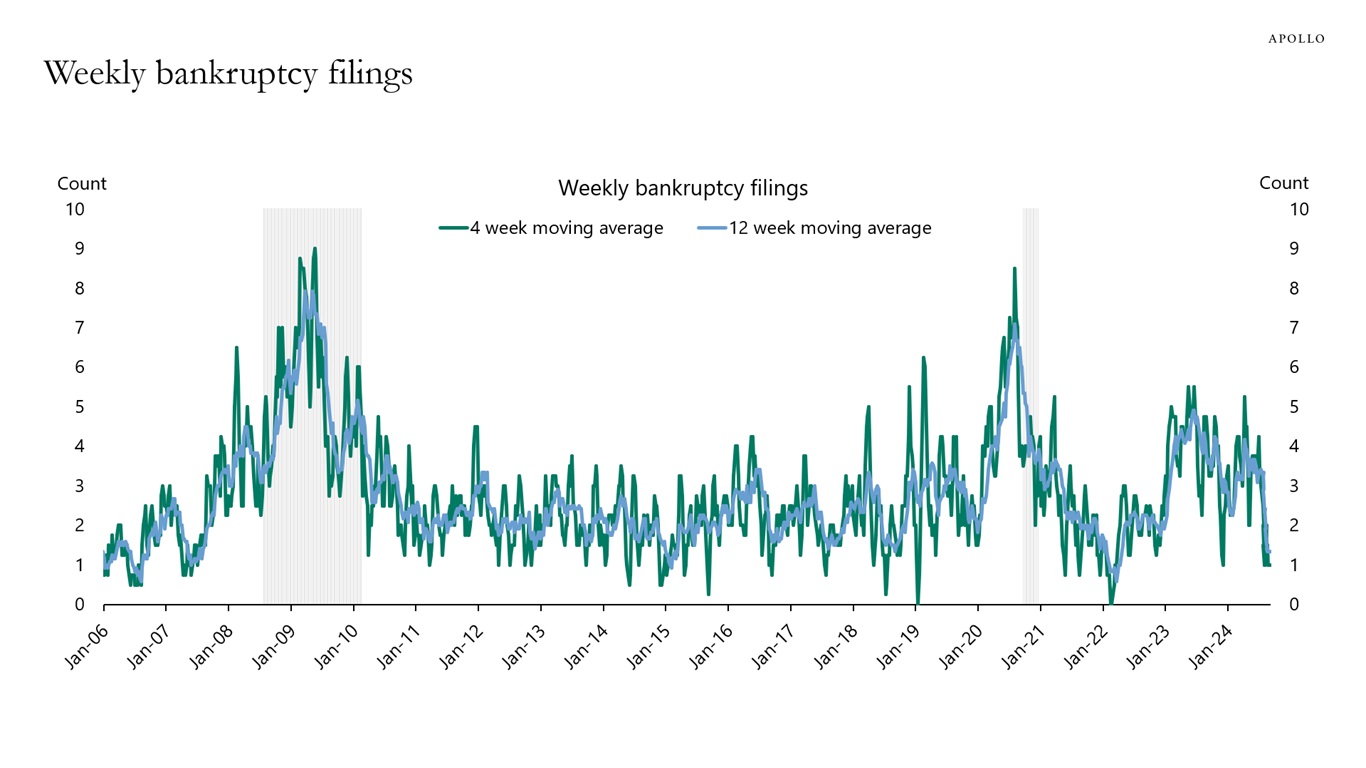 Weekly bankruptcy filings