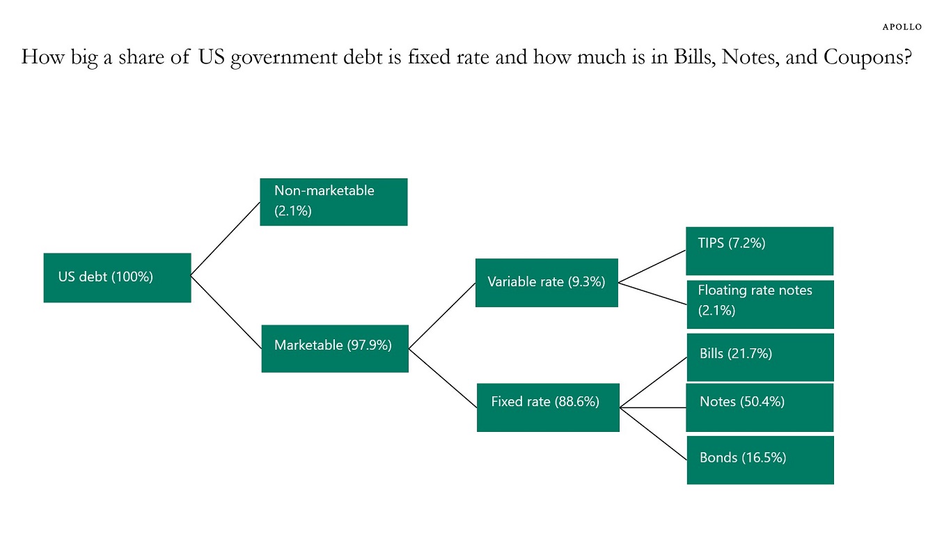 The structure of US government debt