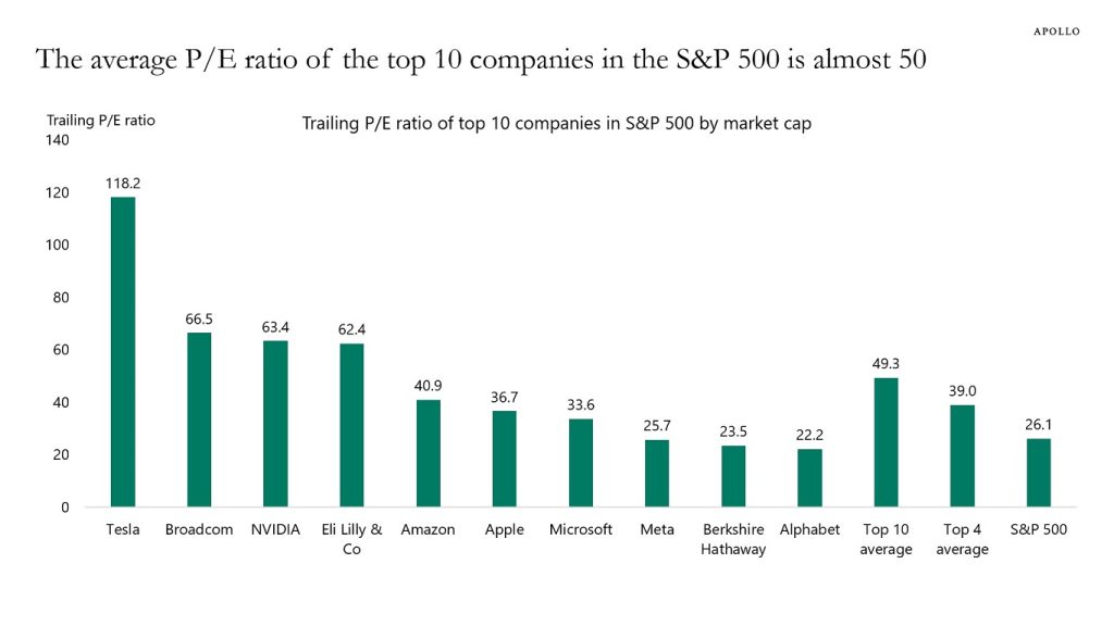 The average P/E ratio of the top 10 companies in the S&P 500 is almost 50