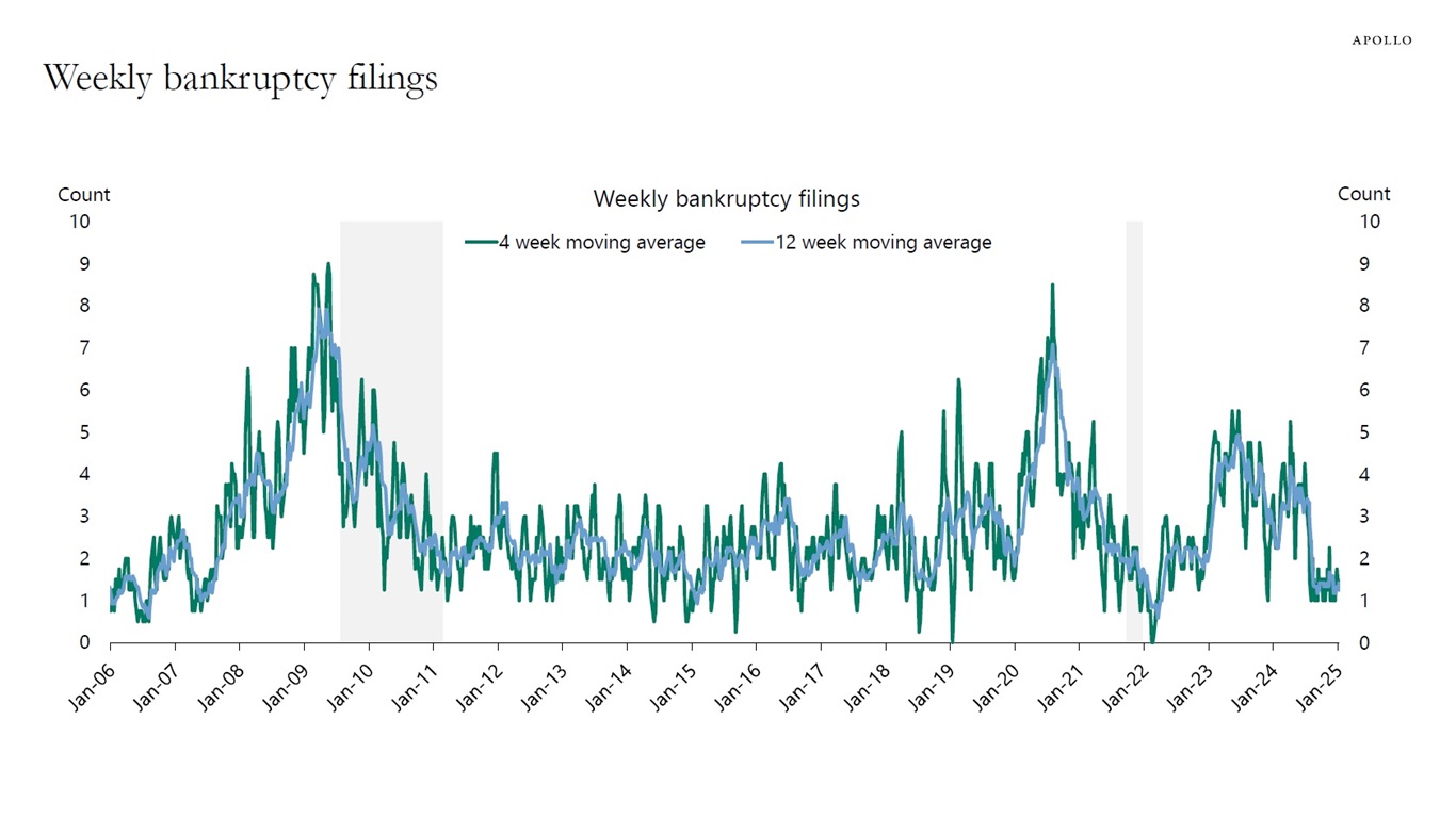 Weekly bankruptcy filings