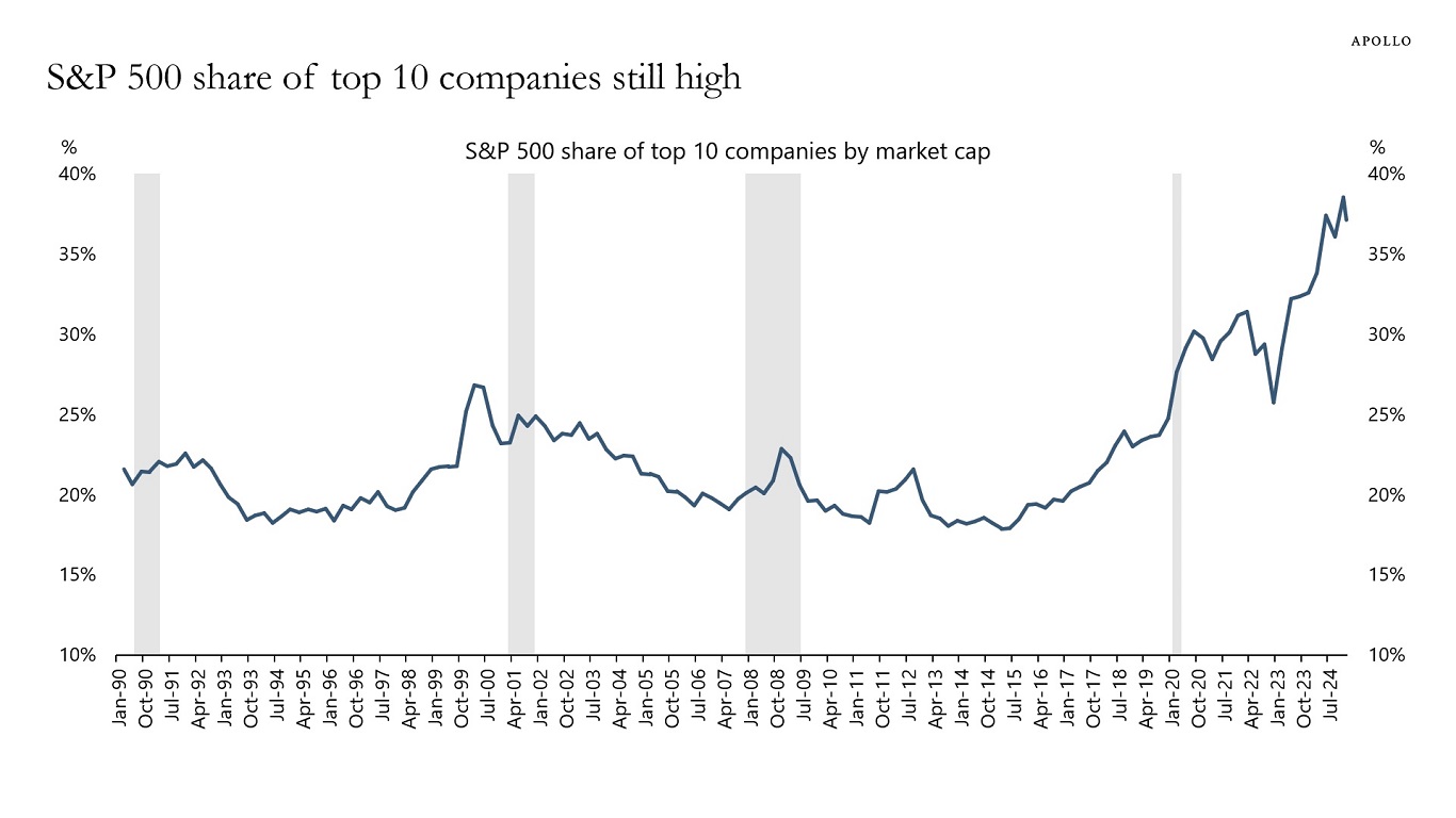 S&P 500 share of top 10 companies still high